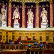 Proposition de loi visant à moderniser le système de protection de l'enfance  - Sénat