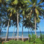 Mayotte