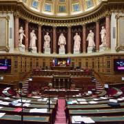 La protection de l’enfance mobilise les parlementaires tous azimuts