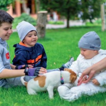 Animaux domestiques : accueillir en toute sécurité