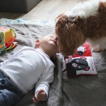 Des animaux associés à l’accueil des enfants, un plus pour la profssionnelle.